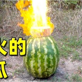 热门大瓜,热门大瓜背后的惊人真相