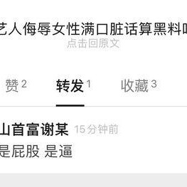 黑料是什么意思,真相与误解的交织